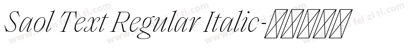 Saol Text Regular Italic字体转换